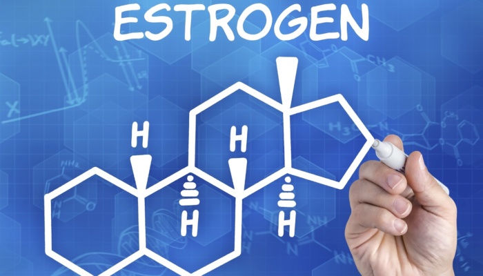 Эстрогены. Роль и функции в мужском и женском организме. Антиэстрогены и ингибиторы ароматазы: важные нюансы.