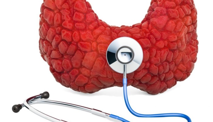 «Острые вопросы» о щитовидной железе: нюансы диагностики и терапии, влияние на вес