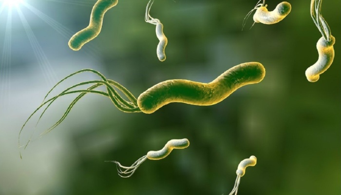 H.pylori может приводить к гипотиреозу