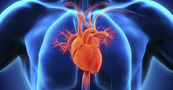 Кетоновые тела могут иметь протективный эффект при сердечно-сосудистых заболеваниях