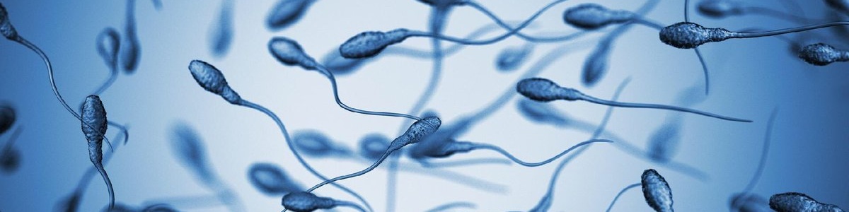 Качество спермы ухудшается после перенесенного COVID-19